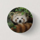 Zoek naar rode panda geschenken China