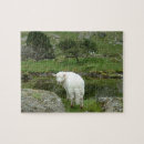 Recherche de moutons puzzles Agneau