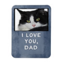Recherche de faites magnets Chat