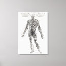 Recherche de conditions médicales posters Système