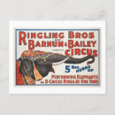 Recherche de troupeau cartes postales Exécution