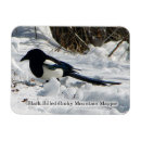 Zoek naar bled magneten Natuur