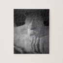 Recherche de seattle puzzles Pacifique nord ouest