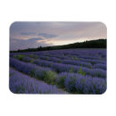 Recherche de gisement d magnets Agriculture