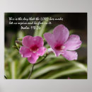 Recherche de gloire de matin rose Floral