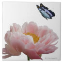 Zoek naar shot tegels Horizontaal