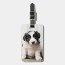 Recherche de col bagages étiquettes Chiot