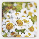 Recherche de peinture blanche autocollants Fleurs