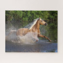 Zoek naar runen puzzels Bob langers