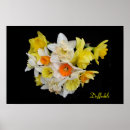 Zoek naar narcissen posters Oranje