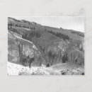 Recherche de troupeau cartes postales Photographe