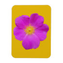 Zoek naar wilde magneten Wildflower