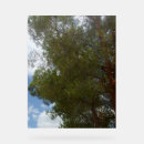 Recherche de symbole photographie Toute personne