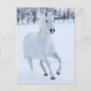 Recherche de chevaux neige cartes postales Exécution