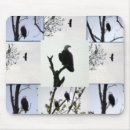 Recherche de chauve souris tapis souris Aigle