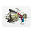 Recherche de anatomie humaine magnets Médical