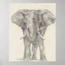 Zoek naar animal kinder posters Safari