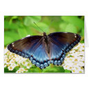 Recherche de machaon cartes postales Ailes