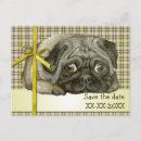 Recherche de pug invitations Animal