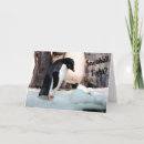 Recherche de adelie vœux cartes Neige