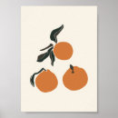 Recherche de fruit orange posters Agrumes