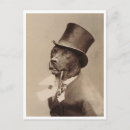 Recherche de chiens vintages cartes postales Chien vintage