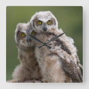 Recherche de animal photography Canada