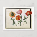 Recherche de fleurs 19ème cartes postales Botanique