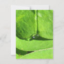 Recherche de ventre cartes postales Déesse