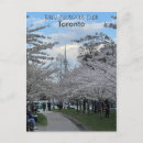 Recherche de bel cartes postales Rose