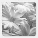 Recherche de pays bas autocollants Blanc