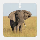 Recherche de elephants ornements Safari
