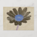 Recherche de fleurs artistiques cartes postales Marguerite
