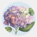 Recherche de hortensias autocollants Rose