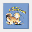 Recherche de pékin magnets Pekingese