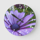 Recherche de marguerites horloges Botanique