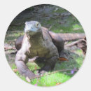 Recherche de reptile autocollants Photographie