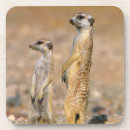 Zoek naar kaars onderzetters Schattig