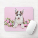 Recherche de husky tapis souris Chien de l'alaska