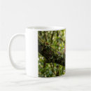 Recherche de panda roux tasses Rouge