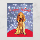 Recherche de cockers cartes postales Pour animaux