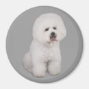 Recherche de frise de bichon magnets Chiot