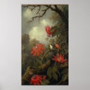 Recherche de heade martin johnson posters Colibri