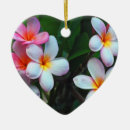 Zoek naar hawaiian ornamenten Eiland
