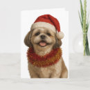 Recherche de shihtzu vœux cartes Shitzu
