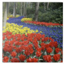 Zoek naar hollands tegels Lente