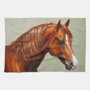 Recherche de cheval de morgan Équestre