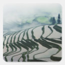 Recherche de papier de riz autocollants Agriculture