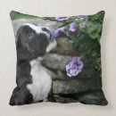 Zoek naar pantser kussens Hond