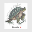 Zoek naar leuke schildpadden stickers Oceaan